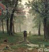 Golden Kite 2568 - Rain in an Oak Forest