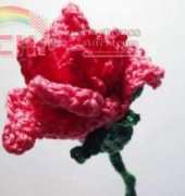 Meli Bondre - Camelia Shanahan - Pink Rose Flower