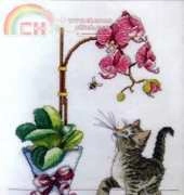 Design Works 2546 Orchid Kitty