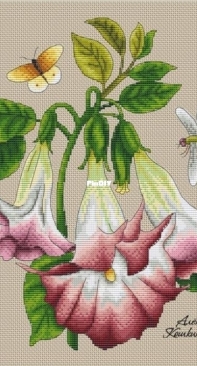 Brugmansia by Alena Koshkina