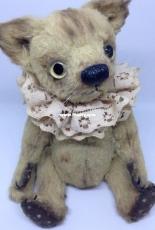 teddy cat