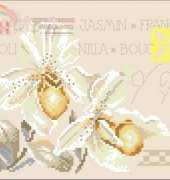 Lanarte 34745- Two orchids