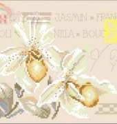 Lanarte 34745- Two orchids