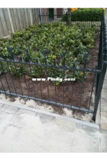 Our new fence.