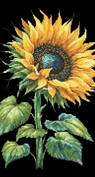 Sunflower by Anastasiia Yermakova SAGA