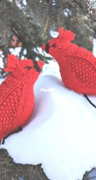 Knit Cardinal by Alexandria Wenninger