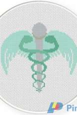 Daily Cross Stitch - Symbol