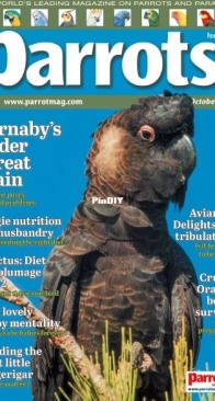 Parrots - Issue 333 -  October 2025