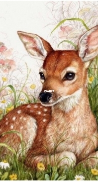 Chimera - Bambi