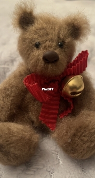 Small bear, old eyes