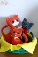 cats