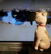 My cat and him love!