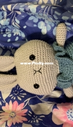 Bunny with sweater