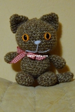 My mini cat