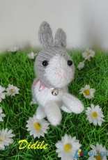 a little bunny