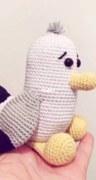 Scraps the seagull