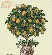 Dimensions 70-72847 - Lemon Tree