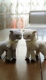 Cute cat