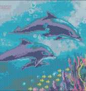 Zolotoe Runo cs-036 dolphins