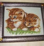 Vervaco_kittens