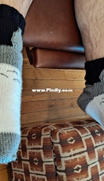 Totoro Socks by Firefly Cities-Free