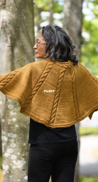 Cabled Capelet by Cheryl Beckerich-Free
