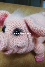 Piggy on MK Natalia Zagrebina
