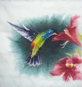 hummingbird in flight