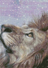 HAED HAEDAEN 123 Whats This by Arden Ellen Nixon