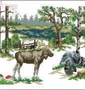 Moose
