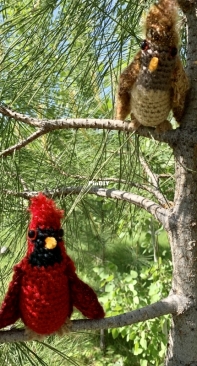 Male and female cardinals!