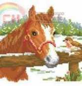 Vervaco 70.748 Horse and bird pcs