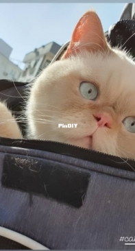 Travel day