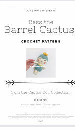 Oche Pots - Clare Cooper - Bess the Barrel Cactus