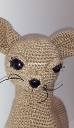 chiwawa