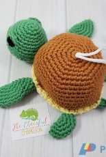 The Cheerful Chameleon - Charlyn Clark - Tara the Turtle Scrubby