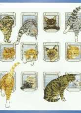 DMC BK1360 Heads or Tails XSD