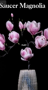 Happy Patty Crochet - Saucer Magnolia