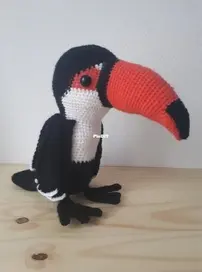 Toucan