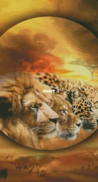 HAED HAECCC 3698 Spirits Of The Savannah by Carol Cavalaris