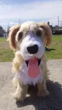 Realistic dog Golden Retriever