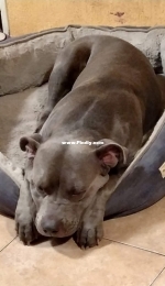 Moon taking a nap