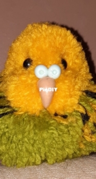 budgie pompom