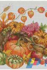 Autumn harvest from Sandra magazine