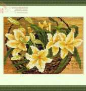 Megat 4099 Lilies