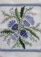 Renato Parolin - Cardo