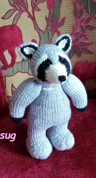 A raccoon