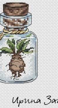 Mandrake In A Jar by Irina Zagorodskaya