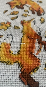 Autumn foxes - Riolis