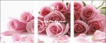 Z026 ROSE Tryptich XSD